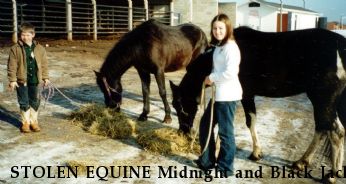 STOLEN EQUINE Midnight and Black Jack, RECOVERED 2002  Near Waynesville, OH, 45068